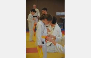 6a3844241cfdf_DSC0230.JPG