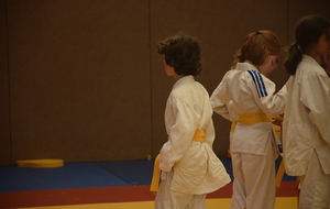 6a3844b5695c3_DSC0262.JPG