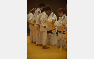 6a3844baccd84_DSC0264.JPG