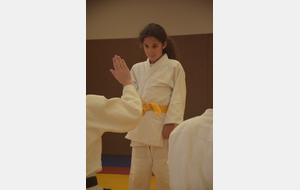 6a384564b7ed9_DSC0302.JPG