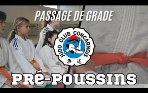 Pré-poussins