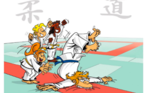 Séance du Judo des Familles