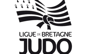 Stage d'arbitrage Régional