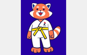 Stage Judo 6/12 ans - Concarneau