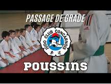 Poussins