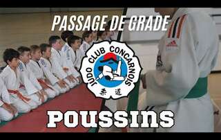 Poussins